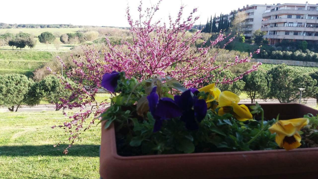 B&B Colline Verdi Vitinia المظهر الخارجي الصورة